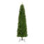 Kingswood Green Fir Artificial Christmas Tree-1750290567
