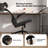 Cadell Ergonomic Office Chair, Home Office Desk Chairs with Lumbar Support, 3D Headrest and Flip Up Arms, Rockable Swivel-559916143-560917687