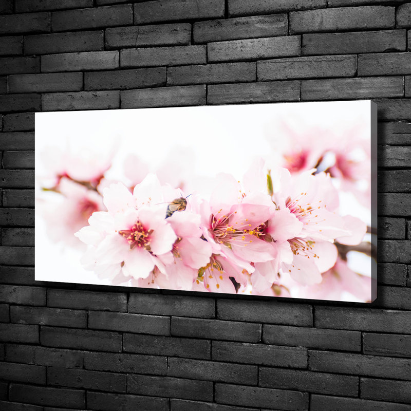 Cherry Blossoms - No Frame Print on Canvas