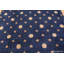 Tapis espagnol antique avec un design céleste