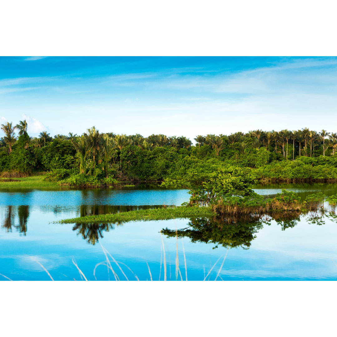 Das Amazonas-Feuchtgebiet in Brasilien - Leinwandbild