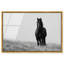 Lone Stallion I Print-209412642-209412669
