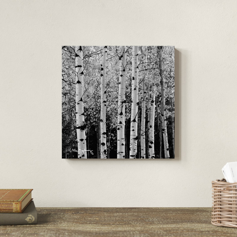 Les peupliers d'automne II (noir et blanc), H 12 po x l 12 po x P 1,25 po
