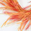 Couronne de porte 22 po Fho