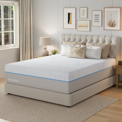 EGOHOME 14" Medium Gel Memory Foam Mattress Infused with Green Tea