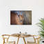 Caracal'S Watchful Gaze Contemporary Cat Wall Art Print by Jeffrey C. Sink - 1 Piece Wrapped Canvas Wall Art-1693047098