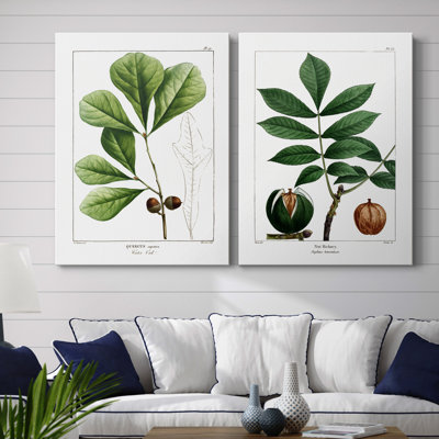 " White Oak " 2 - Pieces
