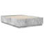 Bed-39933244-39933393