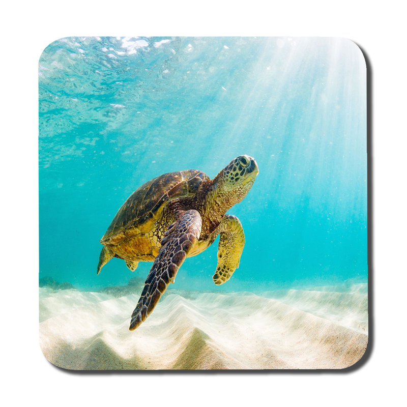Dristy Square 6 Piece Coaster Set