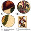 Illustration botanique rétro d'une plante Coleus-1076784094-1076784033