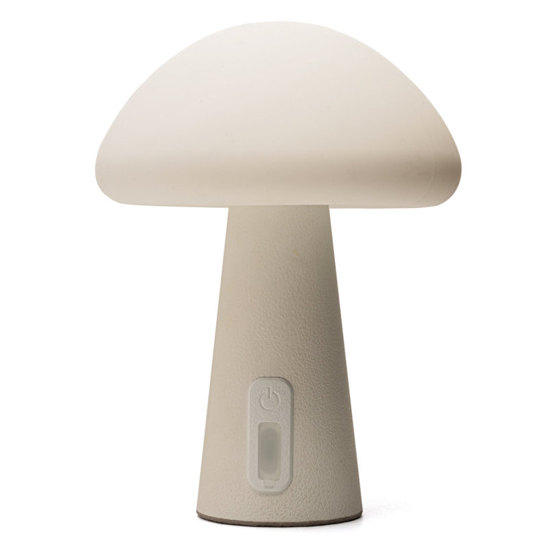 Composite Desk Lamp