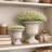 Vintage Garden Pedestal Urn-1659542549-1659542548
