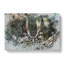Long-Eared Owl In Abstract - Wrapped Canvas-55365392