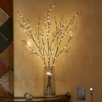 Illuminated willow branches