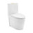 St. Tropez One-Piece Elongated Toilet Collection-789141937-769207419-747766611