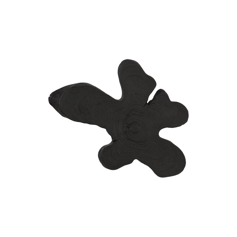 Teak Slice Wall Décor, Md, Black