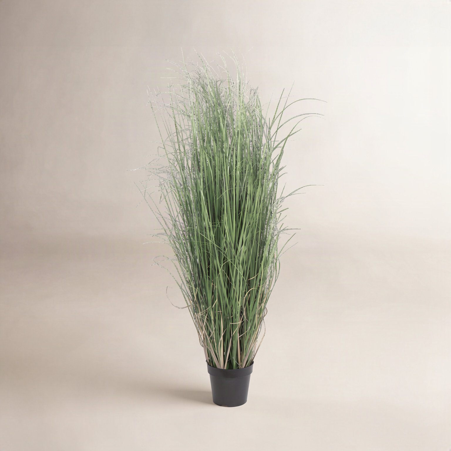 Kellan Curled Grass Plant in Pot, 48" H x 24" W x 24" D