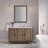 Broeder 48'' Single Bathroom Vanity with Top-998281920-939725483-939725482
