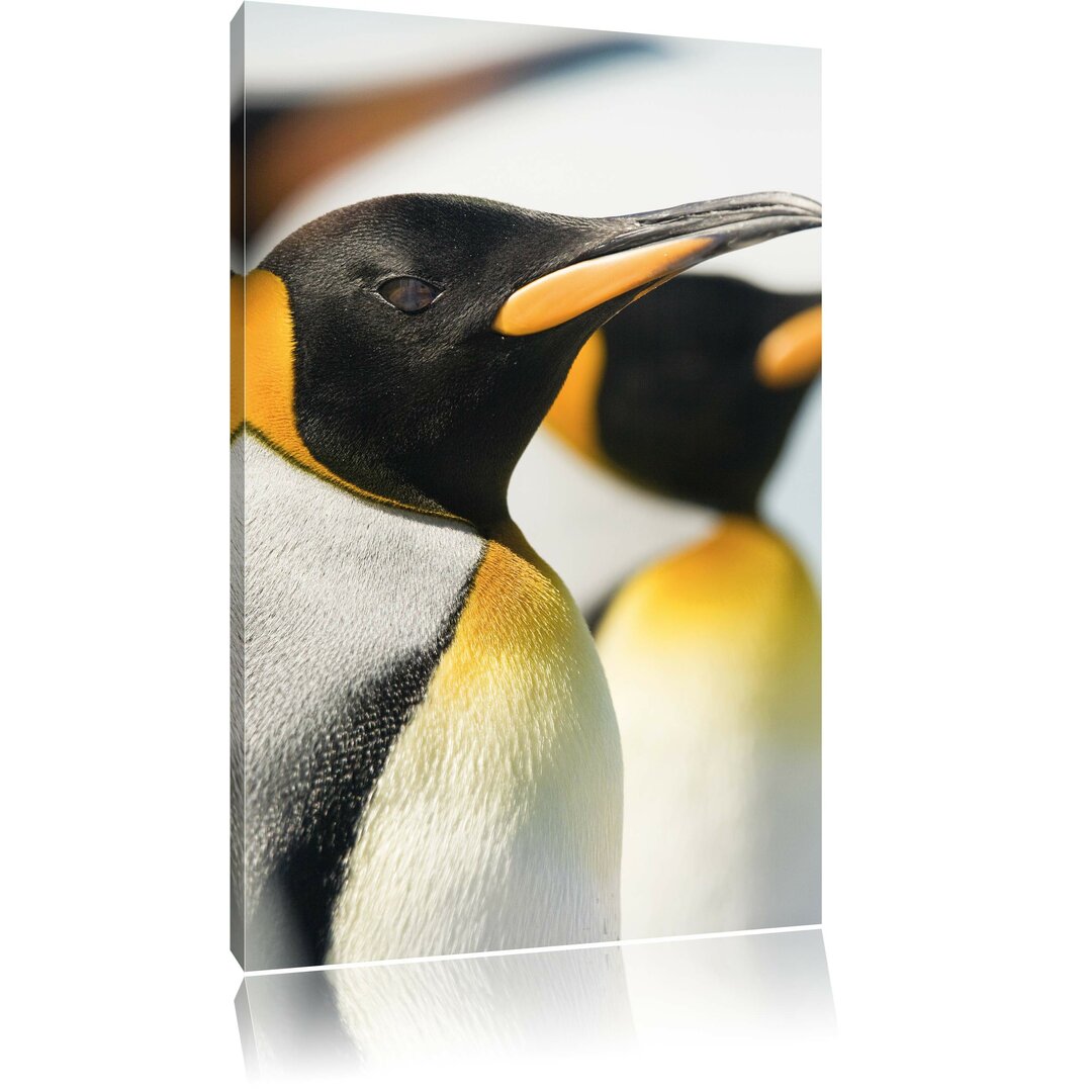 Pinguine Druck auf Leinwand