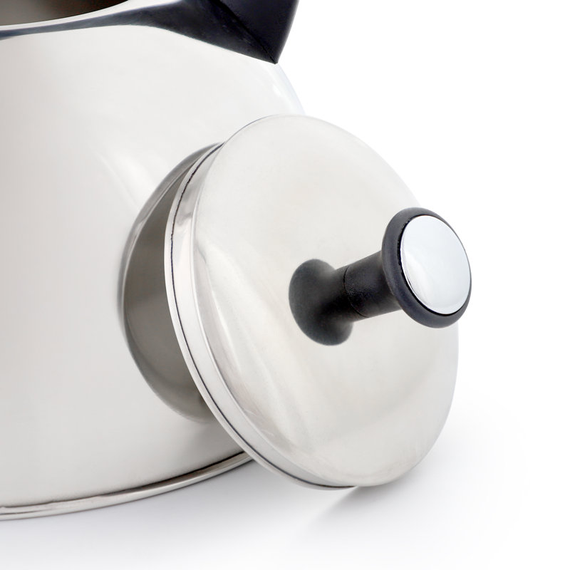Mr. Coffee 2.1 Quart Stainless Steel Whistling Tea Kettle