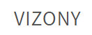 Logo VIZONY