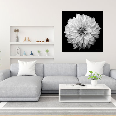 Contemporary Dahlia Iv Bw With Black Black And White Art