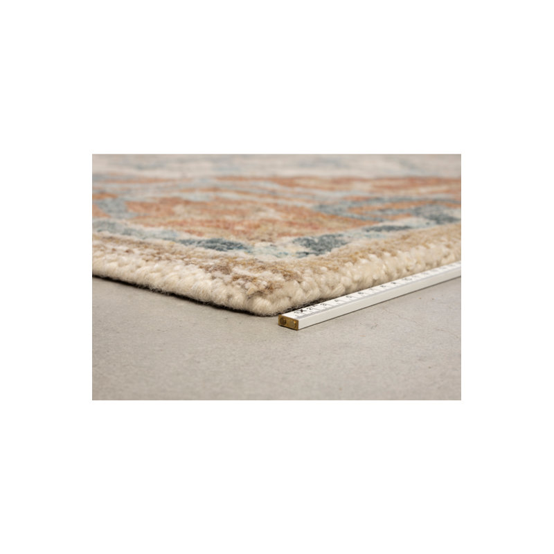 Amori Oriental Area Rug in Brown/Blue/Yellow, Rectangle 5' x 7'5"