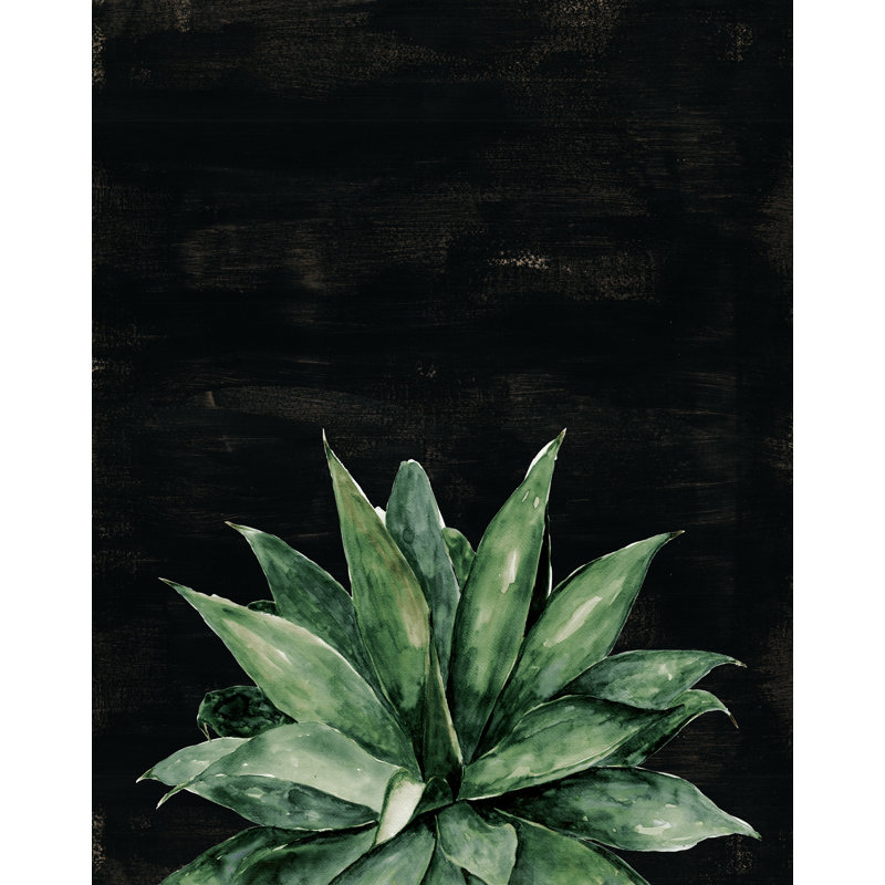 Succulent with Black Background - Painting Print, 30 cm H x 20 cm W, Black Floater Framed