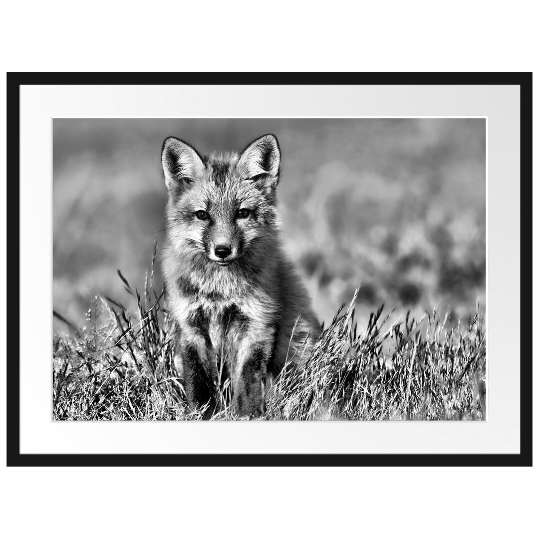 Gerahmtes Poster Kleiner Fuchs