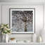 Infrared Cherry Blossoms Framed Photographic Print