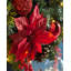 Faux Lighted 76cm Wreath