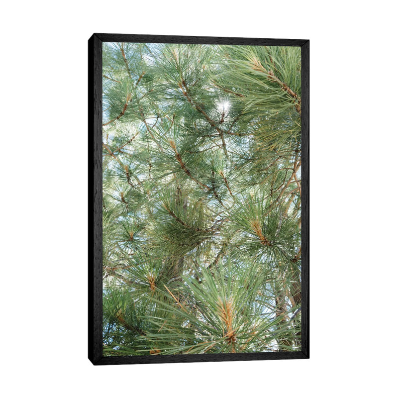 Lake Tahoe IX - Print on Canvas, 101.6cm H x 66.04cm W x 3.81cm D, Black Floater Framed