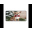 Polyester Desk Pad-1741891167