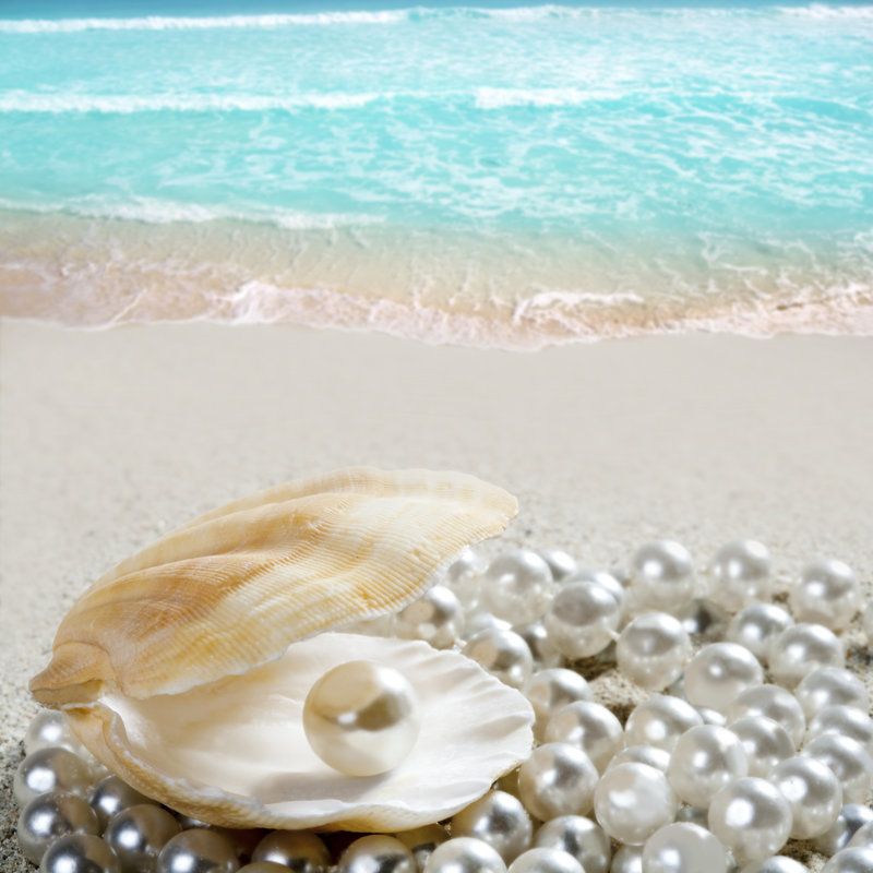 Caribbean Pearl by LUNAMARINA - Wrapped Canvas Print, 30cm H x 30cm W