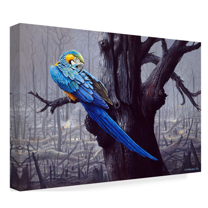 Blue and Yellow Macaw in Burned Forest Canvas Art