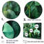 «Fantasy Green Orchid Dreamscapes I» sur toile-97041480-134186662