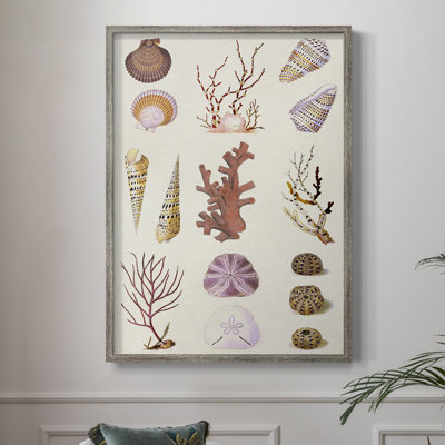 Coral & Shell Collage II, reproduction encadrée - bois massif