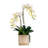 Arrangement
