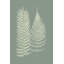 Ferns On Sage IX by Vision Studio - Painting-2101734347-2101643528