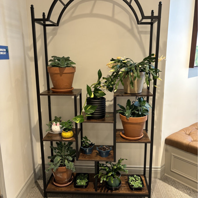Lark Manor Arceli Rectangle Etagere Plant Stand & Reviews | Wayfair