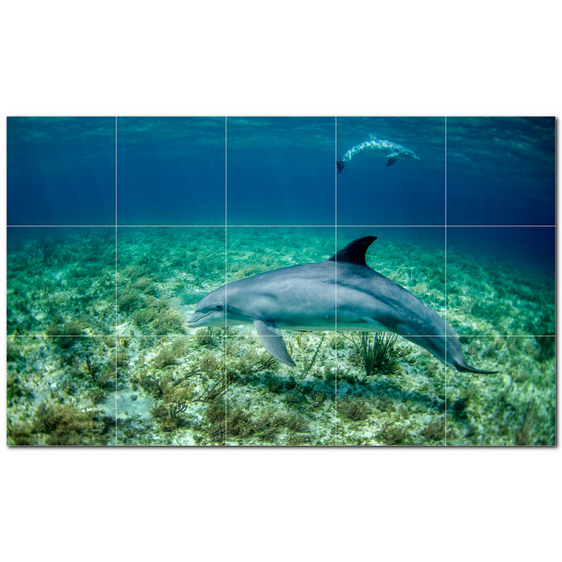 Photo d'un dauphin 4,25 x 4,25