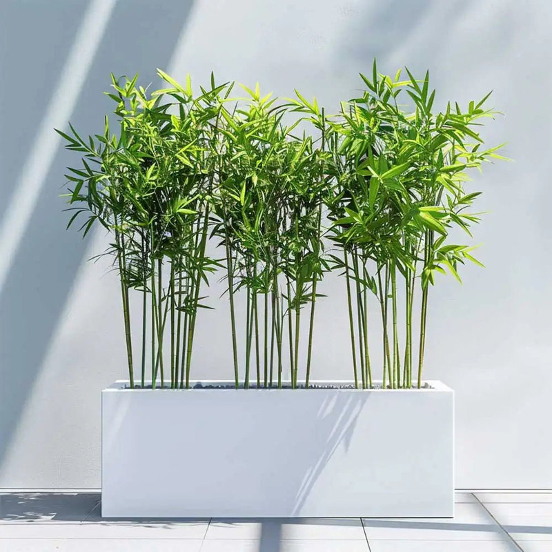 Reny Galvanised Zinc Trough Planter, White, 40cm H x 120cm W x 40cm D