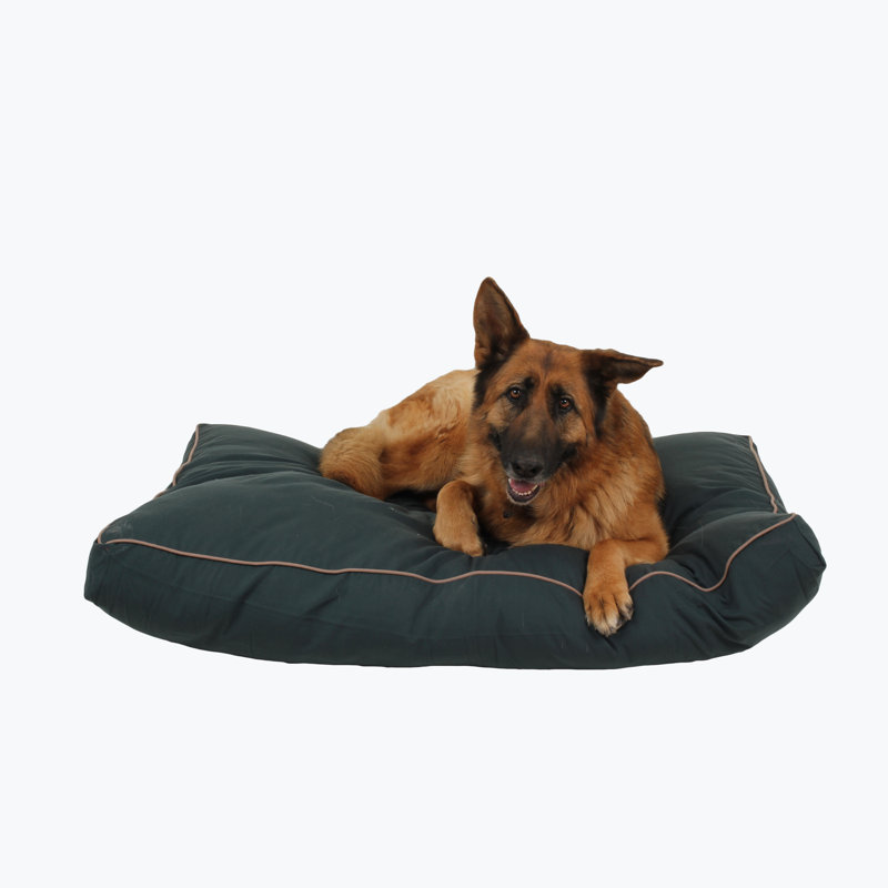 Indoor/Outdoor Khaki Cording Dog Pillow, Extra Large (48" W x 36" D x 4" H), Green