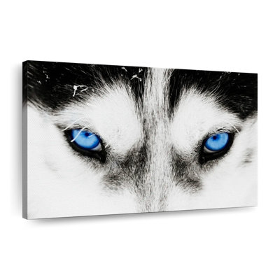 Husky's Eyes Canvas Print