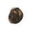 Cast Naturals Petrified Wood Wall Décor