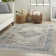 Neve Oriental Area Rug