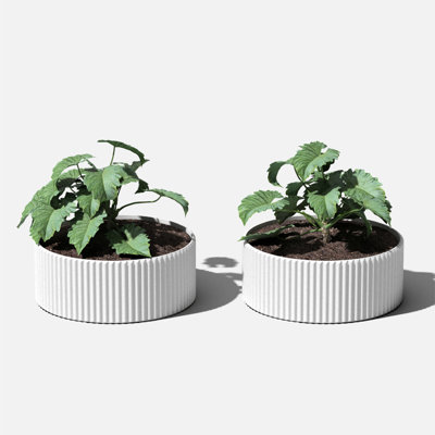 Veradek Mod Series Bowl 5" Bowl - 2 Pack