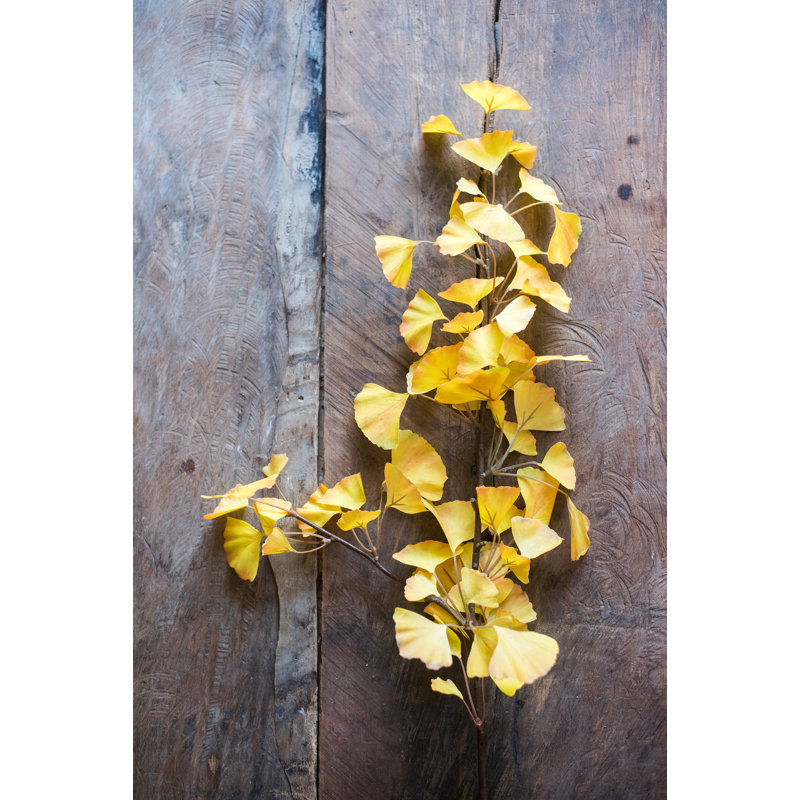 Tiges de ginkgo artificielles, douilles et pulvérisateurs, Jaune, Cinq tiges