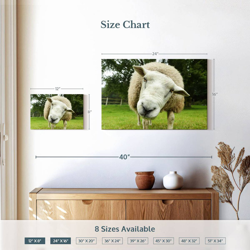 Brampt Nosy Sheep, 16" H x 24" W