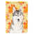 Husky de Sibérie blanc sélectionné